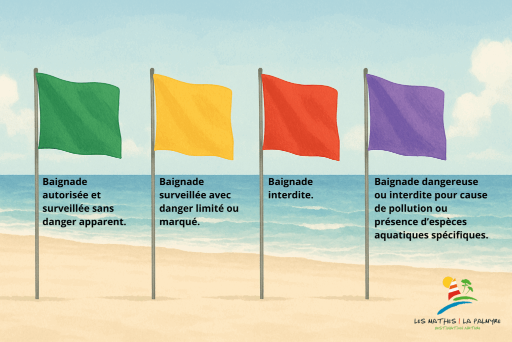 Drapeaux de baignade